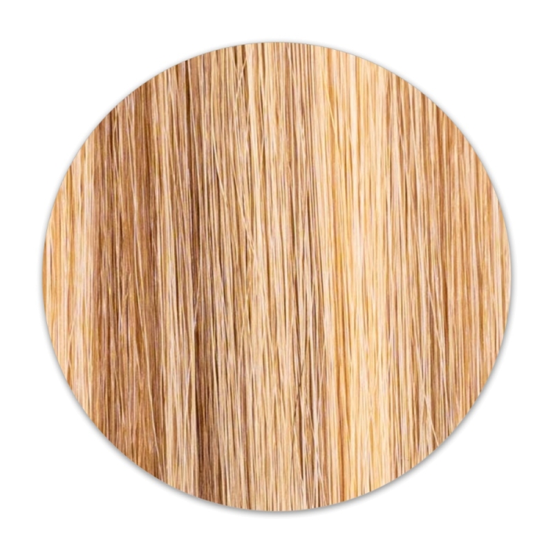 Chestnut Highlights